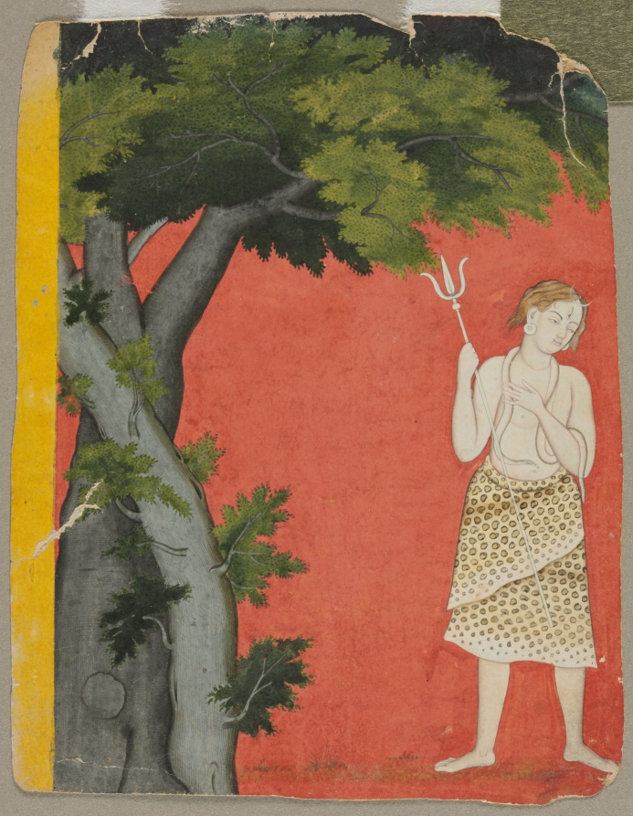 Shiva under trees