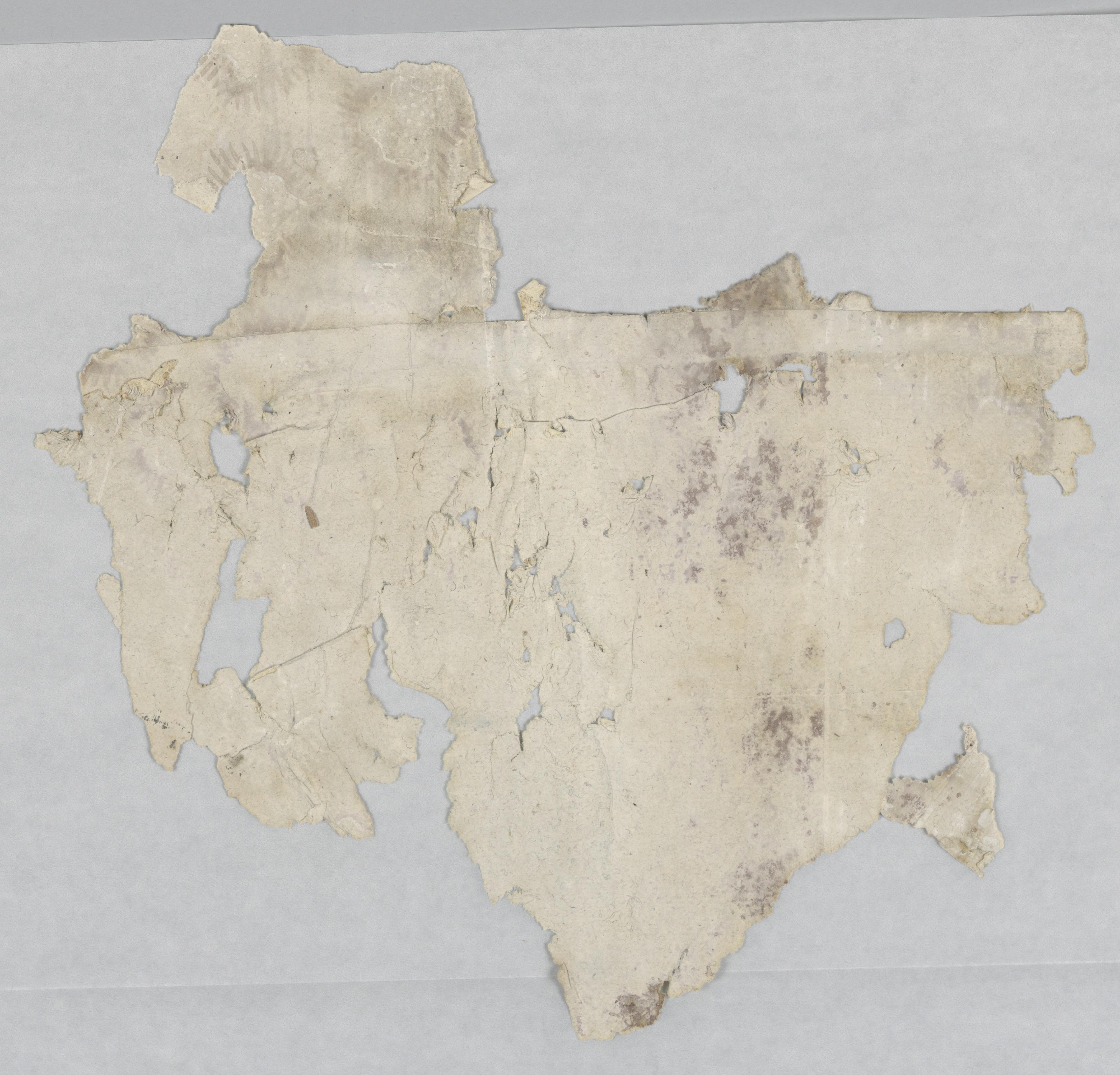 Sidewall - fragment