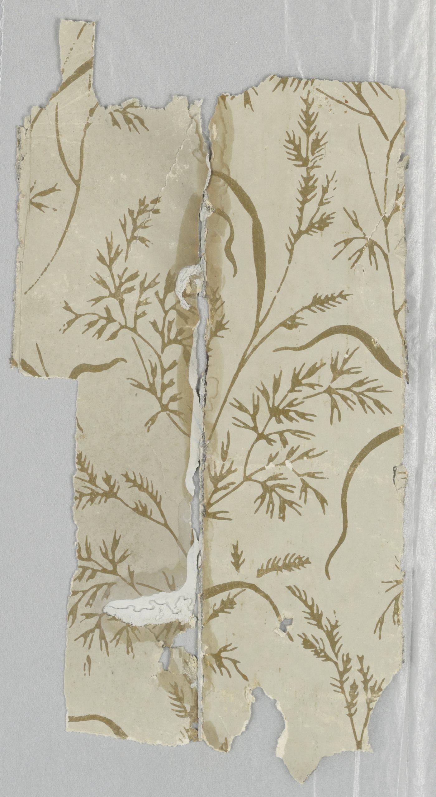 Sidewall - fragment