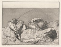 Siesta I: pl.3