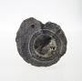 Siliceous concretion
