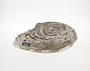 Siliceous concretion
