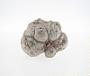 Siliceous concretion