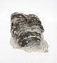 Siliceous sinter