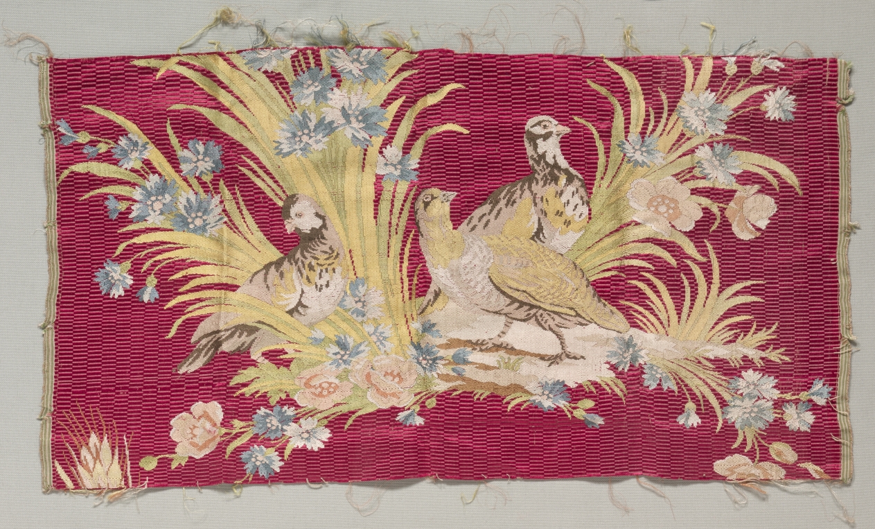 Silk Fragment
