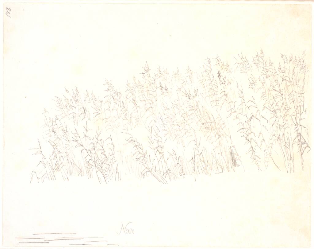 Sivgruppe
