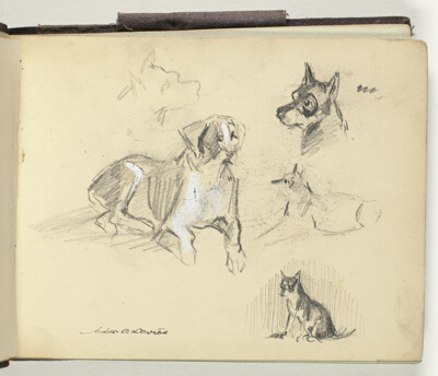 Sketchbook I