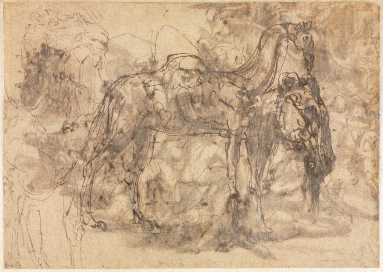 Sketches of Animals (verso)