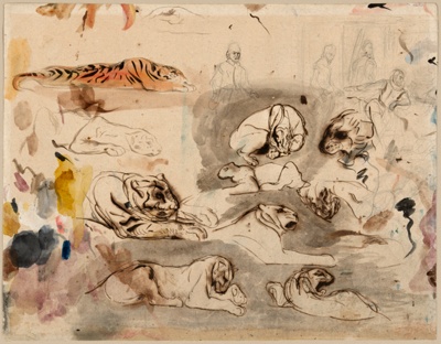 Sketches of Tigers and Men in 16th Century Costume