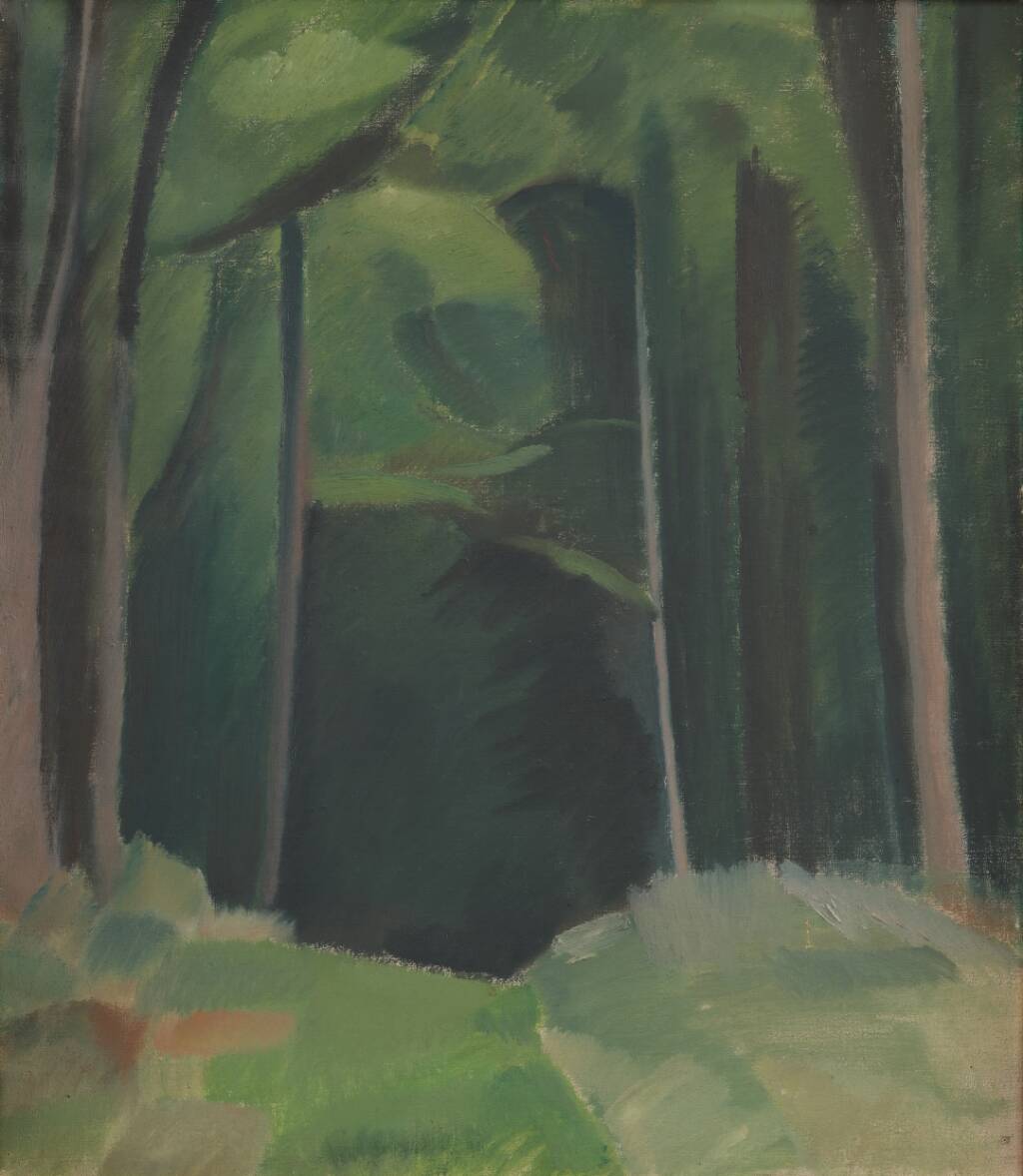 Skovinteriør