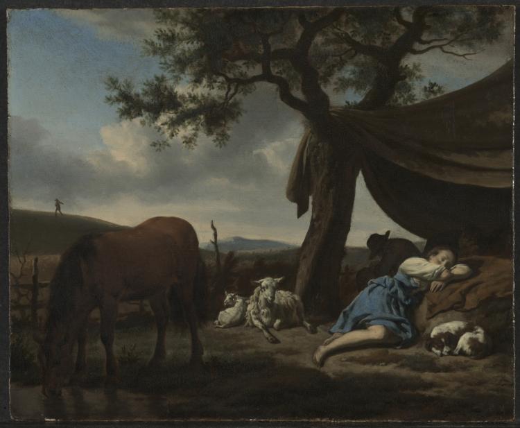 Sleeping Shepherds