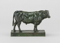 Small Bull