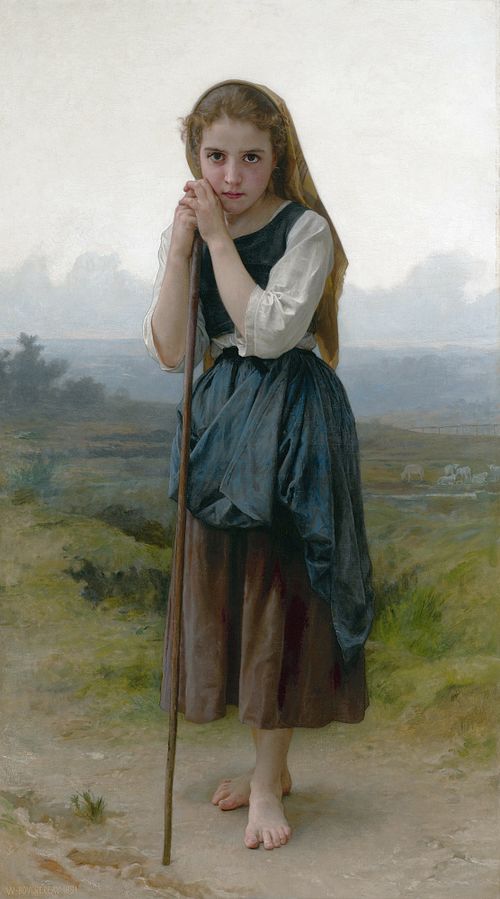 Small shepherd