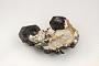 Sphalerite