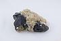 Sphalerite