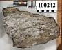 Spodumene pegmatite