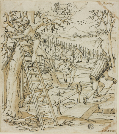 Spring (March)