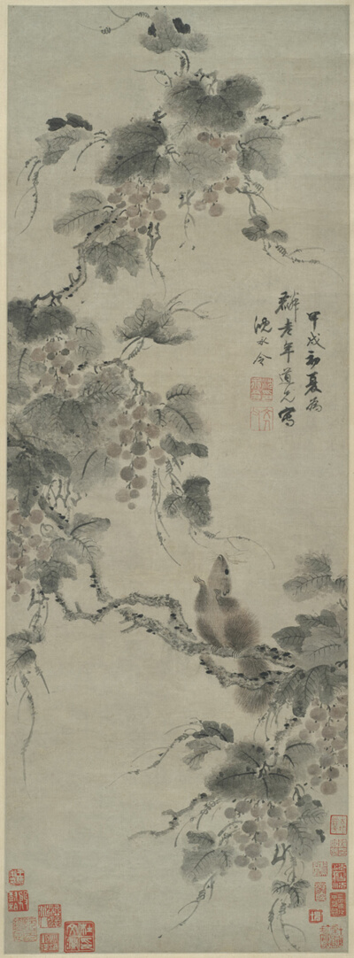 Squirrel and Grapes