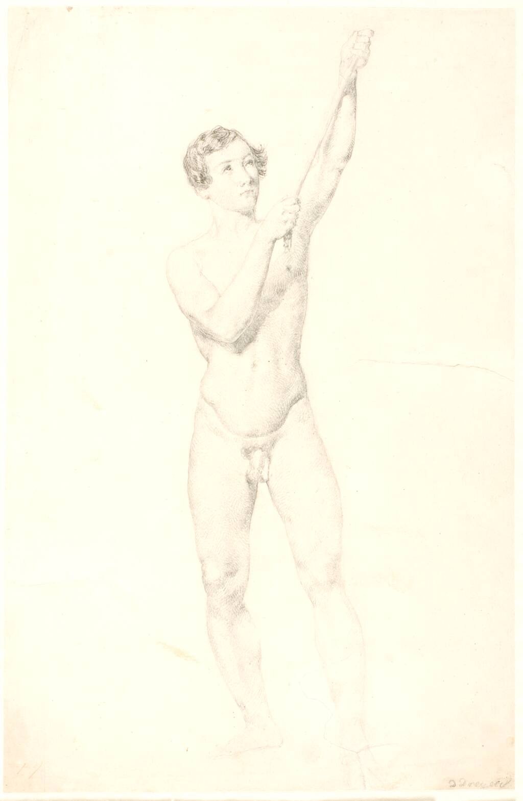 Stående mandlig model