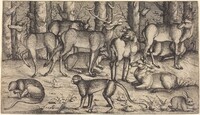 Stags in the Forest