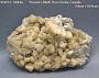 Stilbite