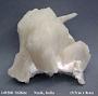 Stilbite