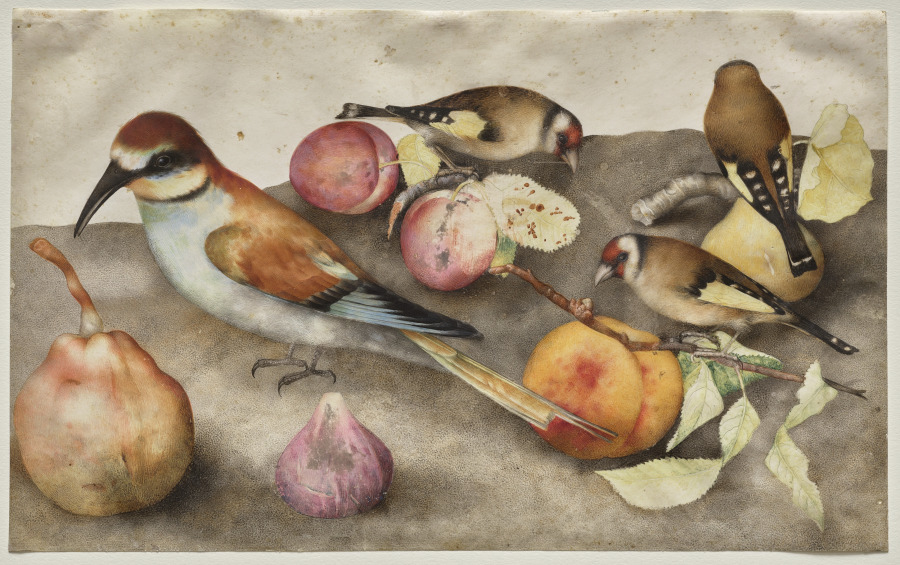 Still Life with Birds and Fruit