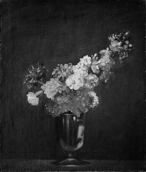 Stocks and Carnations