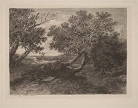 Stream with Overhanging Trees
