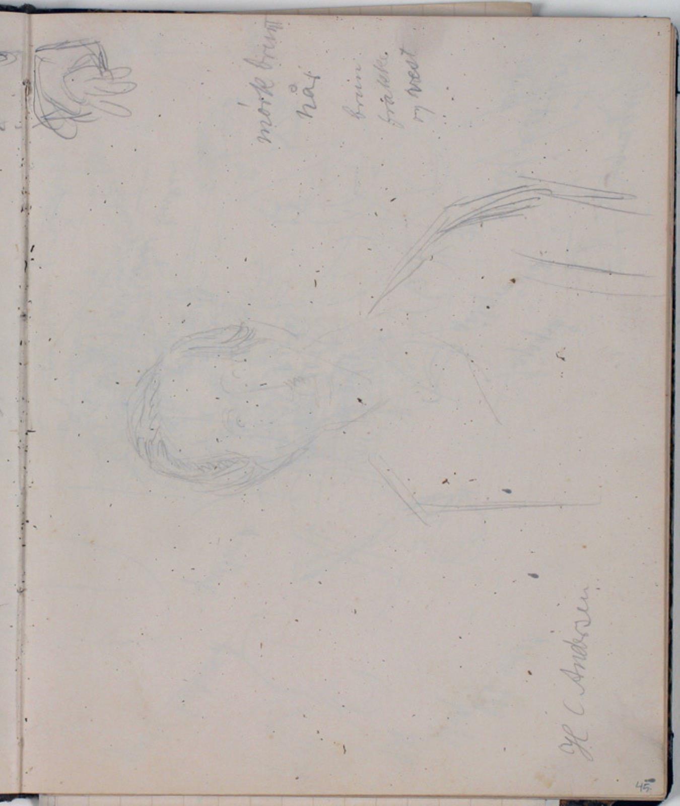 Studie af H. C. Andersen efter maleri. Farveangivelser