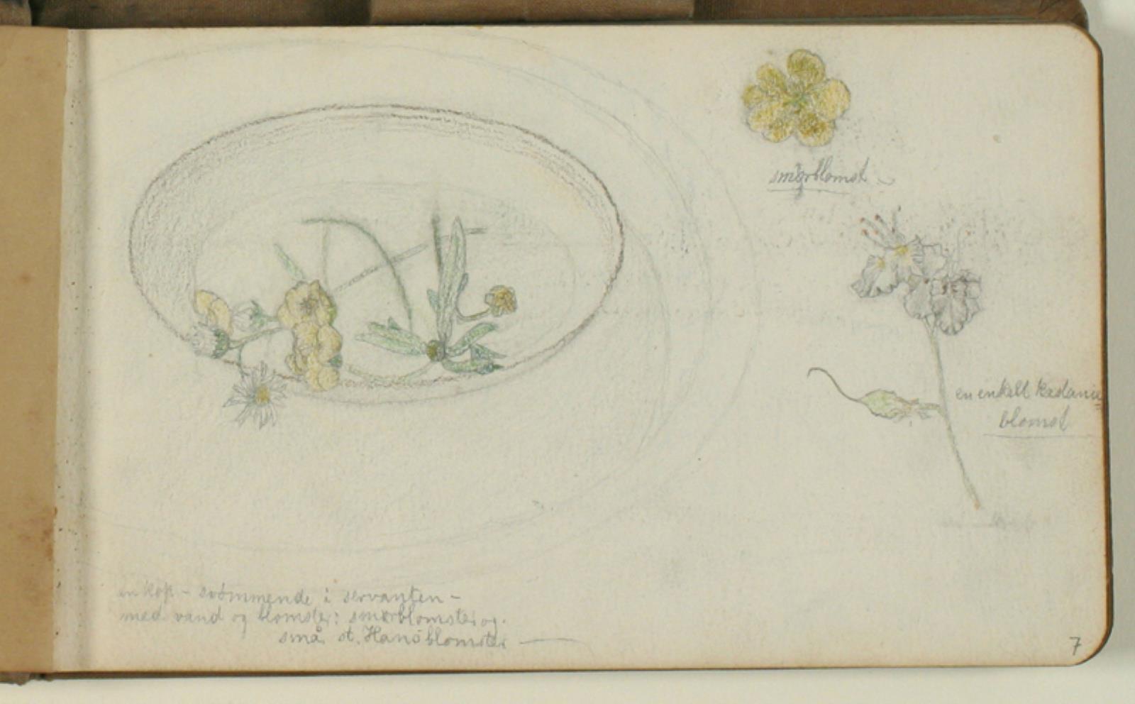 Studier af blomster