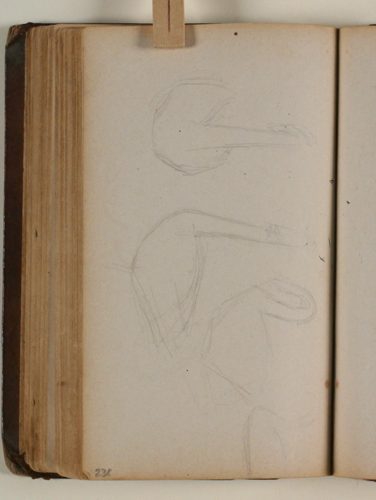 Studier af svaner