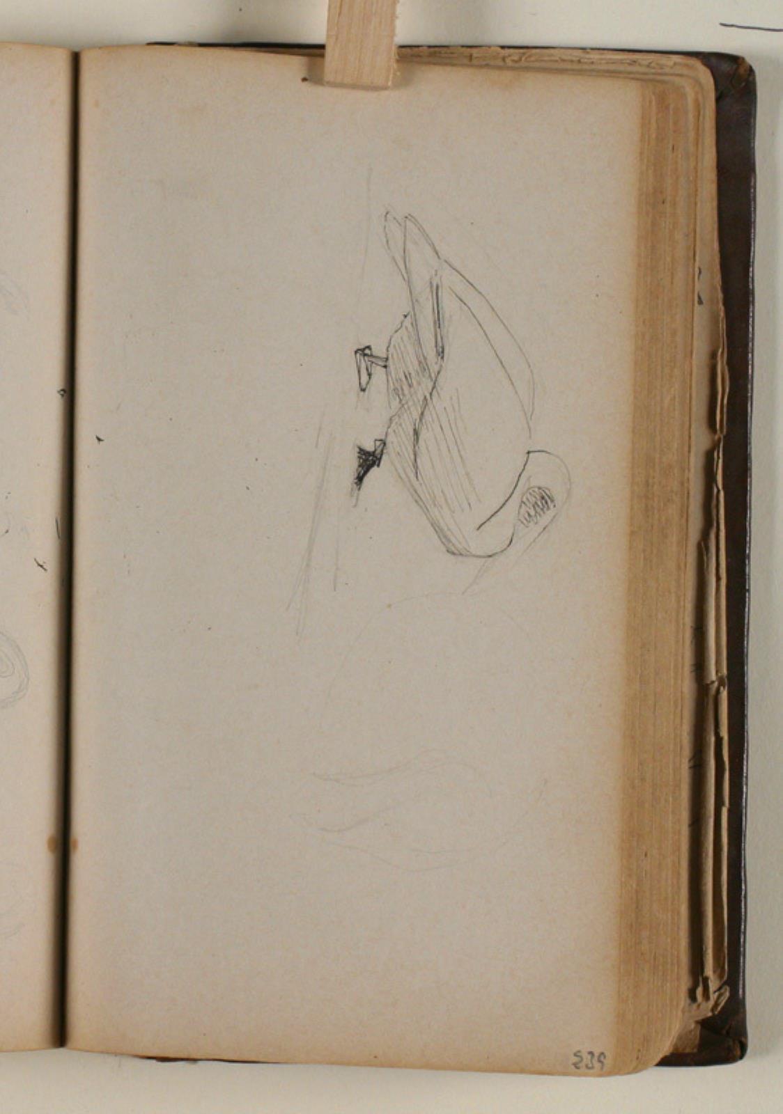 Studier af svaner