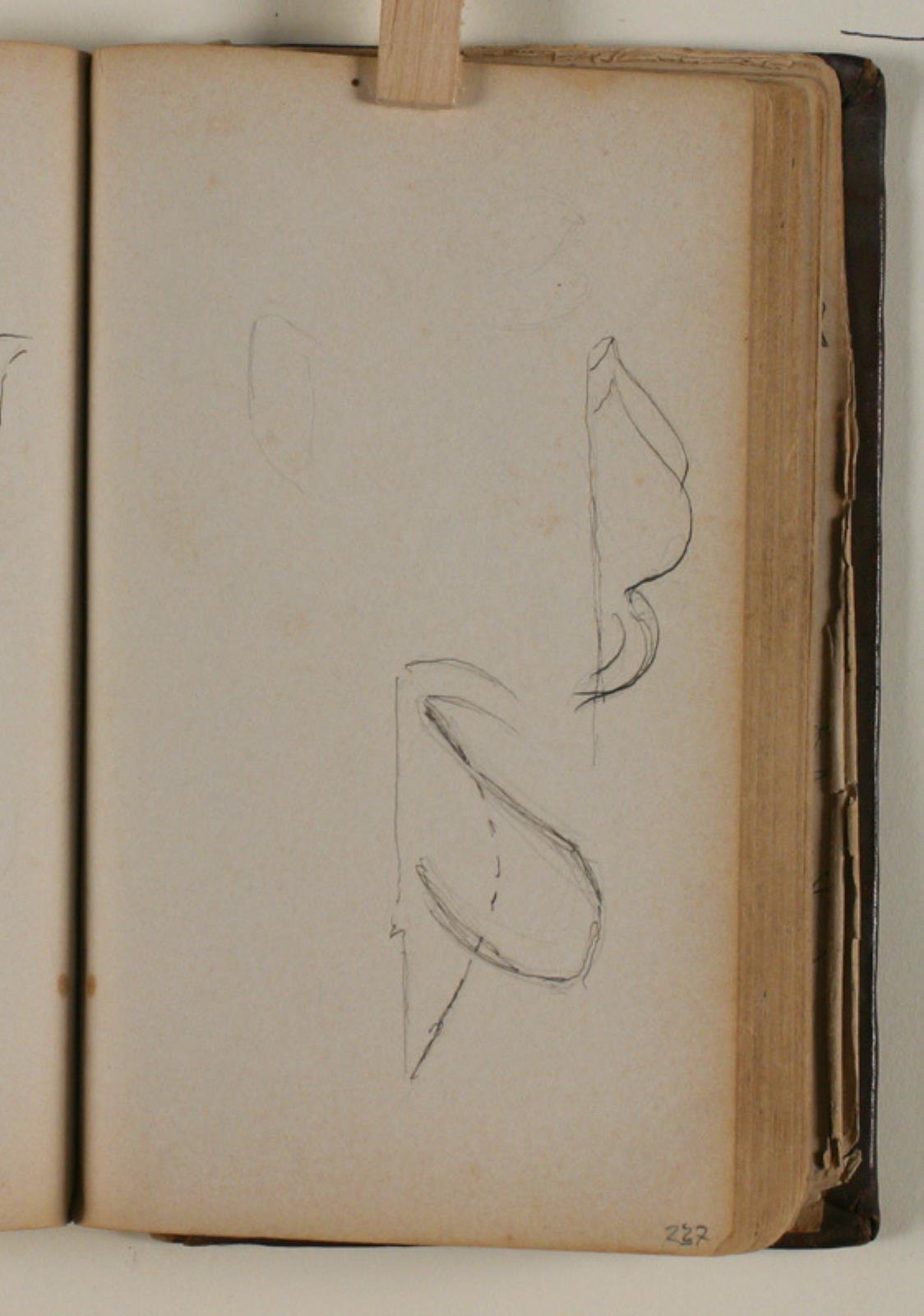 Studier af svaner