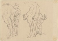 Studies for "Scots Grey"
