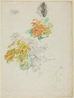 Studies of Trees