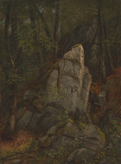 Study of Rocks in Pearson's Ravine