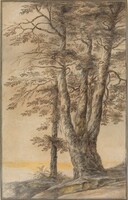 Study of Trees