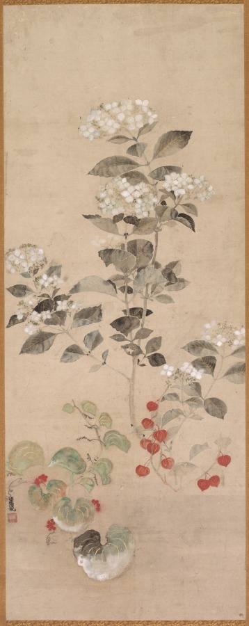 Summer Flowers