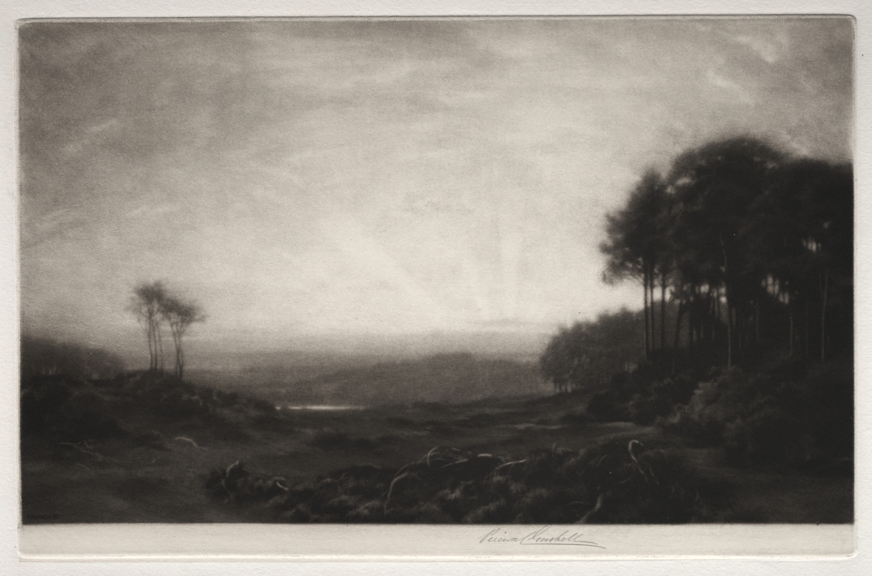 Sunrise in the Clearing