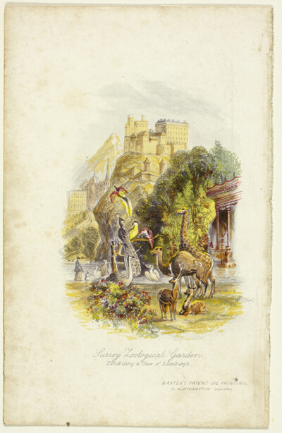 Surrey Zoological Gardens, Exhibiting a View of Edinburgh