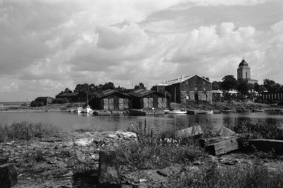 Susisaari