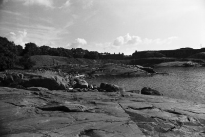 Susisaari