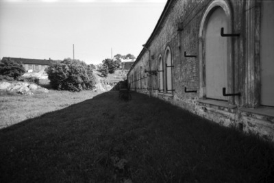 Susisaari