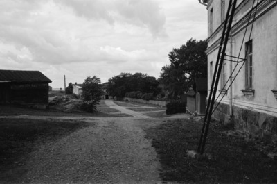 Susisaari
