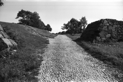 Susisaari