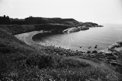 Susisaari