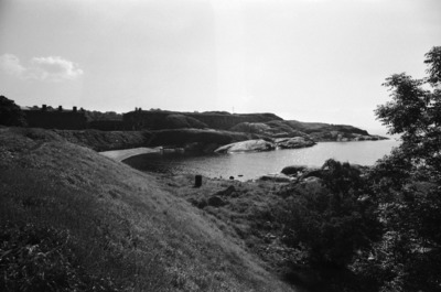 Susisaari
