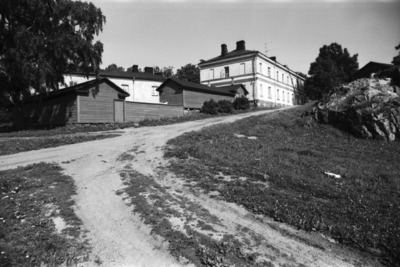 Susisaari