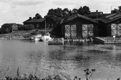 Susisaari